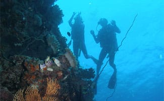 Certified Diving Certified Diving