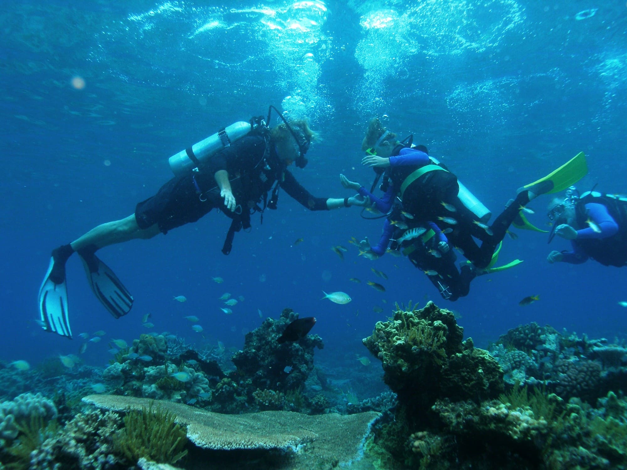Intro Diving Intro Diving
