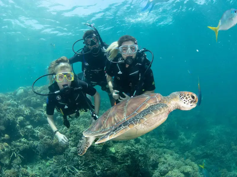 Snorkel Adventure