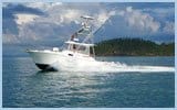 Airlie Beach Tour Listing sea fever sportfishing