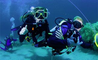 Fitzroy Island diving