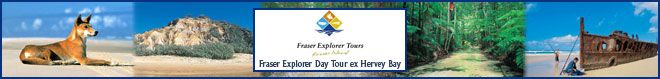 Fraser Explorer Day Tour Ex Hervey Bay