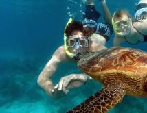 Green Island snorkelling