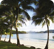 Hamilton Island Travel Guide holidays