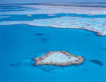 Hayman Island Activities reef