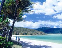 Hayman Island Tours beach