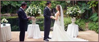 Hayman Island Wedding