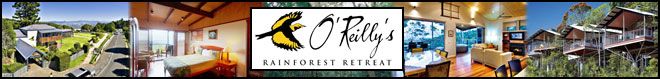 OReillys Rainforest Retreat Villas 1