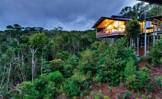 OReillys Rainforest Retreat villas