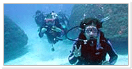 Queensland Diving Operator aqua scuba1