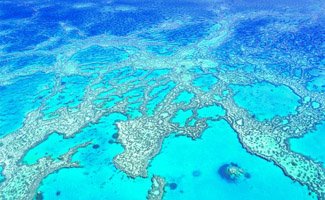 Queensland Transfers great barrier reef
