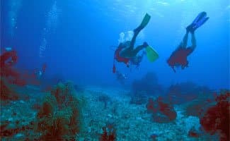 Scuba Diving Holidays QLD