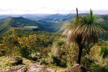 Southern Cross 4WD Tours 3