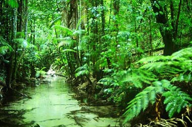 Sunrover Fraser Island 5