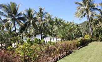 Whitsunday Holiday Apartments gardens