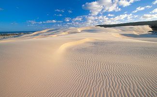 eli creek sand dunes