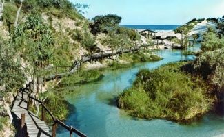 fraser island must do list eli creek