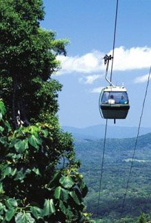 Cairns Beaches Tours skyrail