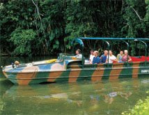 Cape York Tours kuranda