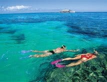 Cape York Tours snorkelling