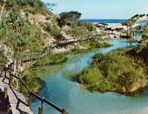 Fraser Coast Activities eli creek