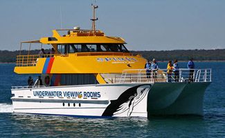 Hervey Bay Tours spirit whale watching