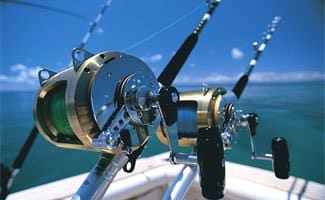 Port Douglas Fishing rods