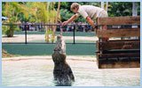 Sunshine Coast Attractions Listing Australia Zoo