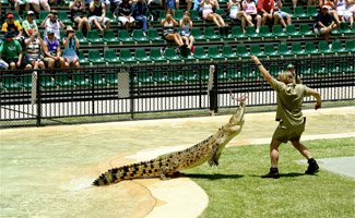 Sunshine Coast Attractions australia zoo