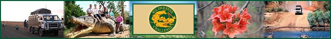 Wilderness Challenge banner