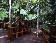 cape trib boardwalk