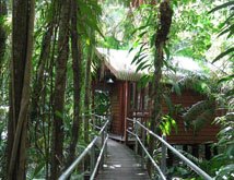 daintree wilderness lodge