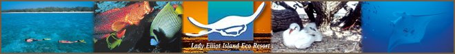 Lady Elliot Island day trip