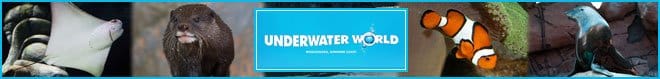 UnderWater World banner