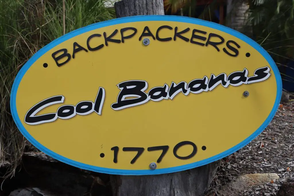 coolbananas4