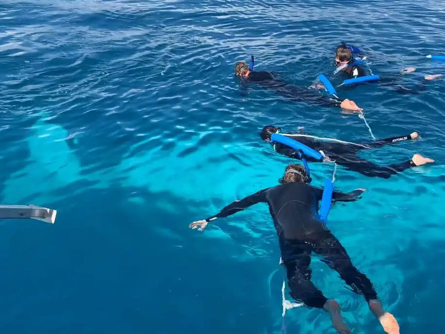 gone diving 1