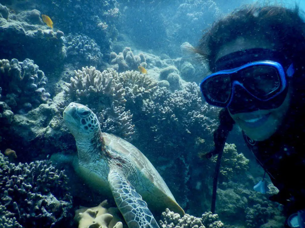 oceanfree4