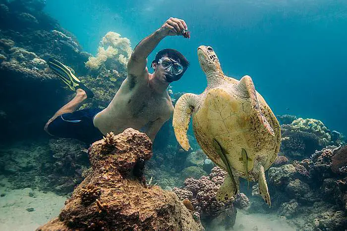 oceansafari5