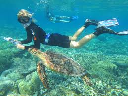 reef eco 2