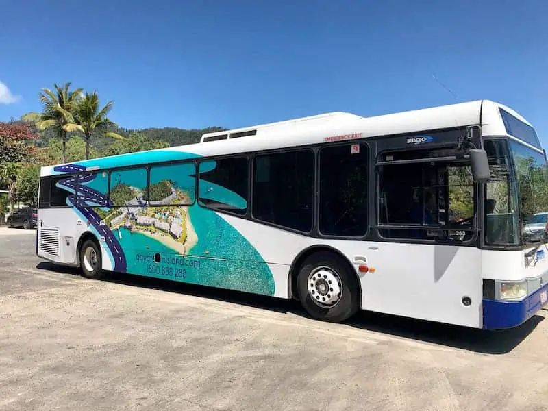 Bus