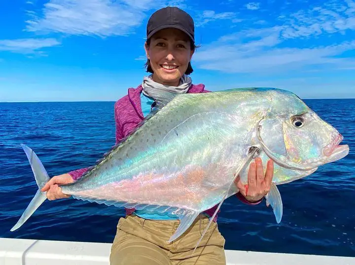 Diamond Trevarlly