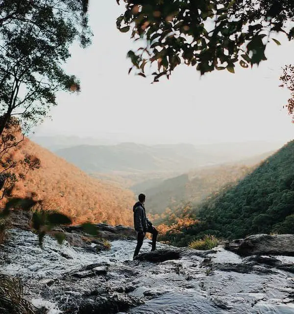 Lamington National Park Canungra