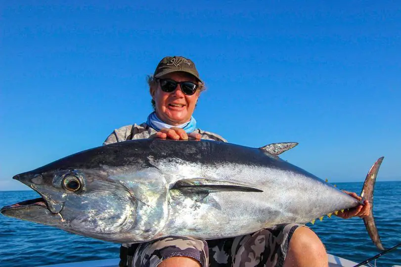 Longtail Tuna