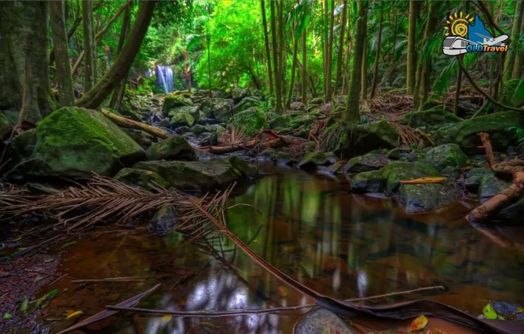 tourist destination qld Tamborine Mountain Queensland