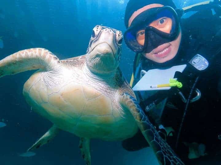 diving