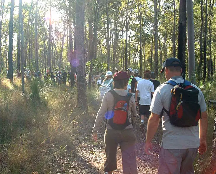 eco camp