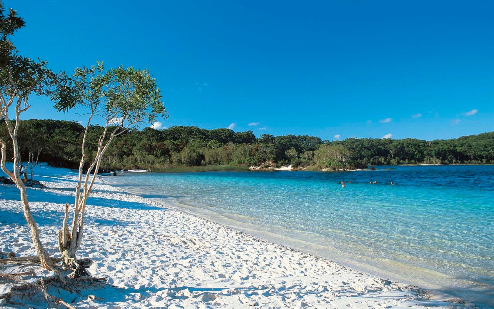 Lake McKenzie Fraser Island QLD Travel