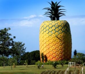 The Big Pineapple