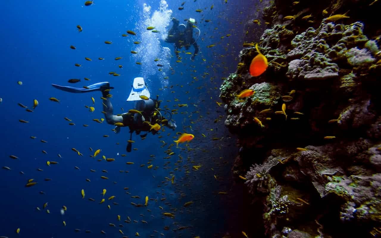 Things To Prepare Before A Scuba Diving Trip