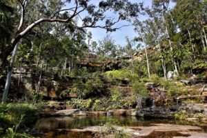 Blackdown Tableland Creek